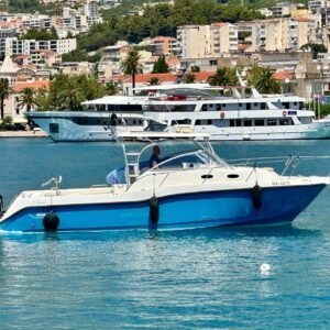 Boston Wahler 305 Conquest (2005)